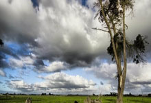 3377体育：2025年全国青少年球竞赛日历公布.