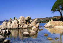 3377体育：2025年全国青少年球竞赛日历公布.